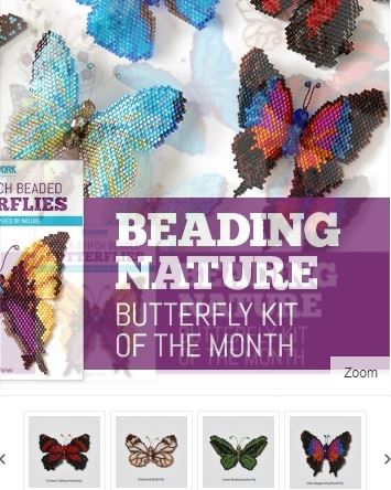 butterfly kits